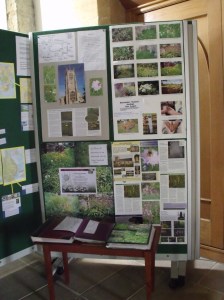 Living Churchyard Display